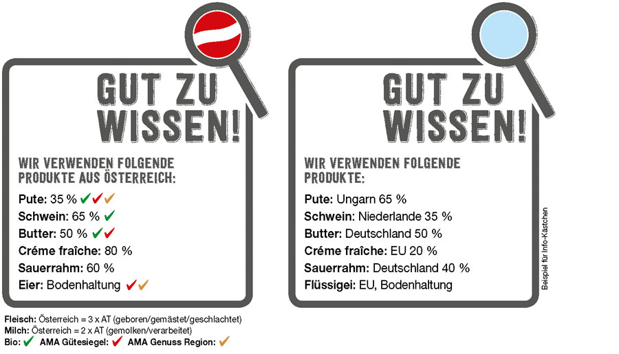 GZW_Initiative_Kaestchen_Muster_web-optimiert.jpg