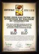 KS Linz 06